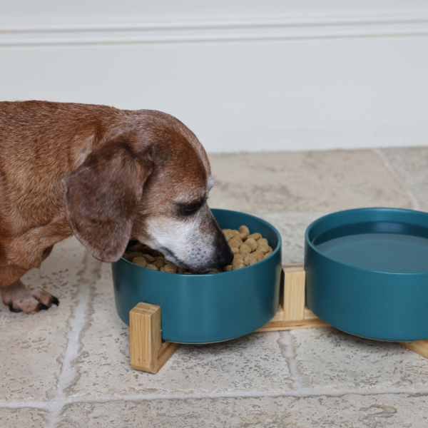 CERAMIC PET BOWLS WITH BAMBOO STAND - GREEN Life Style (2)