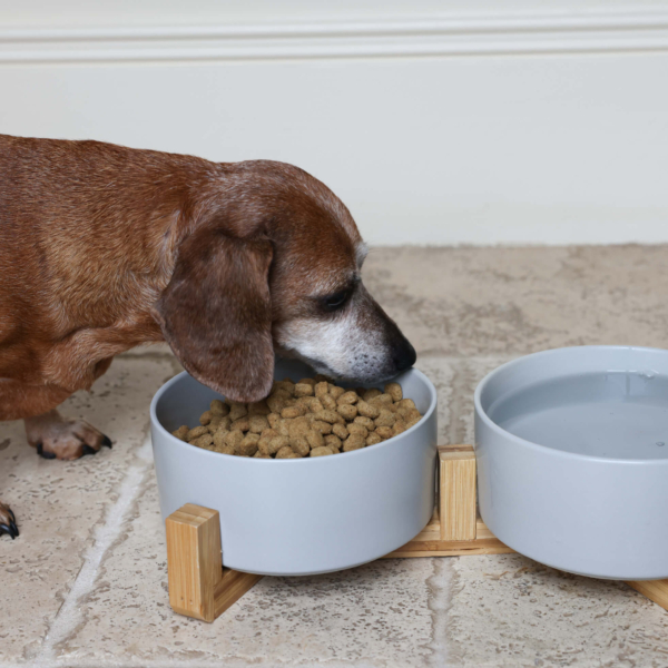 CERAMIC PET BOWLS WITH BAMBOO STAND - GREY Life Style (1)