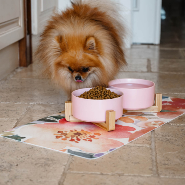 CERAMIC PET BOWLS WITH BAMBOO STAND - PINK Life Style (1)