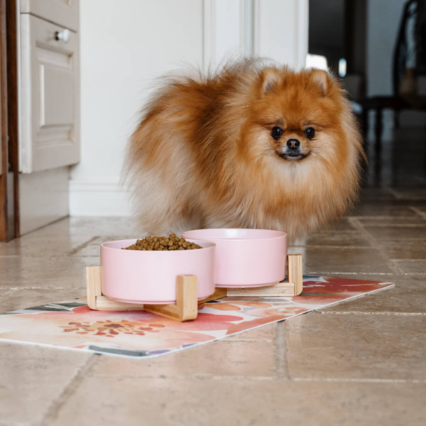 CERAMIC PET BOWLS WITH BAMBOO STAND - PINK Life Style (4)