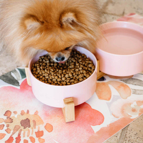 CERAMIC PET BOWLS WITH BAMBOO STAND - PINK Life Style (6)