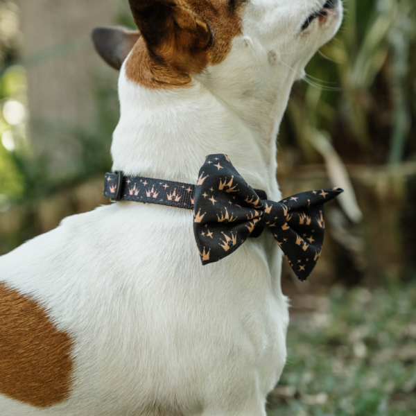 DOG BOW TIES - CROWNS Life Style (5)