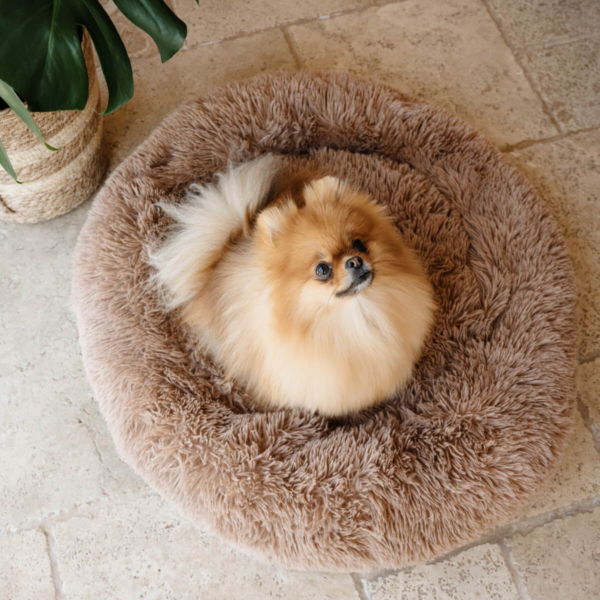 DOG PLUSH CALMING PET BED - CAPPUCCINO LIFE STYLE (10)