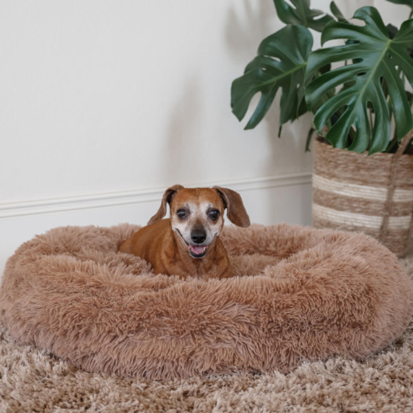 DOG PLUSH CALMING PET BED - CAPPUCCINO LIFE STYLE (12)