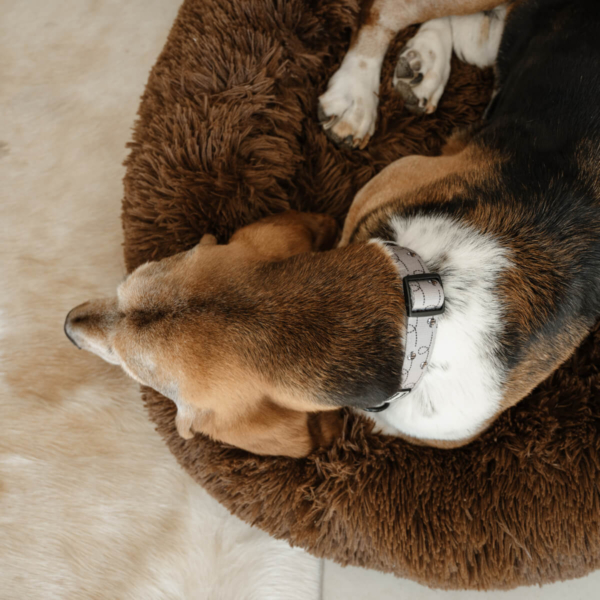 DOG PLUSH CALMING PET BED - CHOCOLATE LIFE STYLE (1)