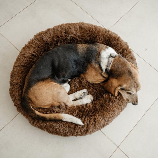 DOG PLUSH CALMING PET BED - CHOCOLATE LIFE STYLE (3)