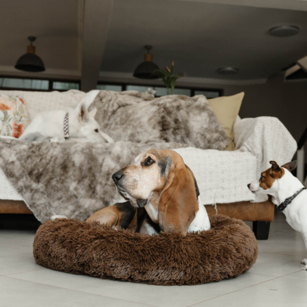 DOG PLUSH CALMING PET BED - CHOCOLATE LIFE STYLE (4)