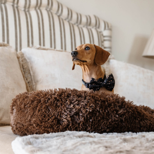 DOG PLUSH CALMING PET BED - CHOCOLATE LIFE STYLE (5)