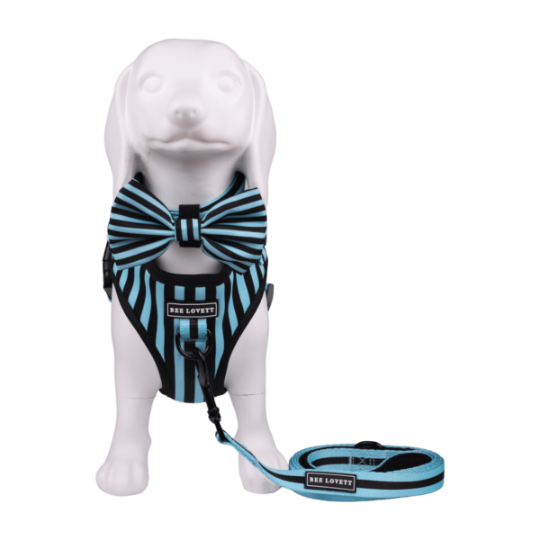 Dog Bow Ties Aqua Stripes (3)