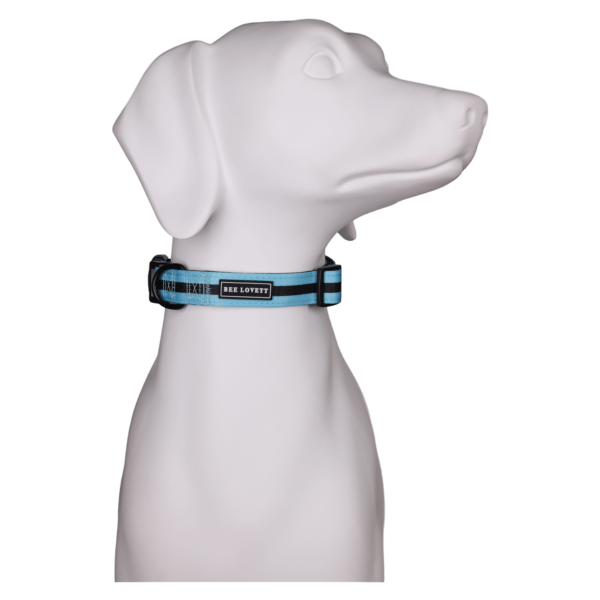 Dog Collars Aqua Stripes (3)