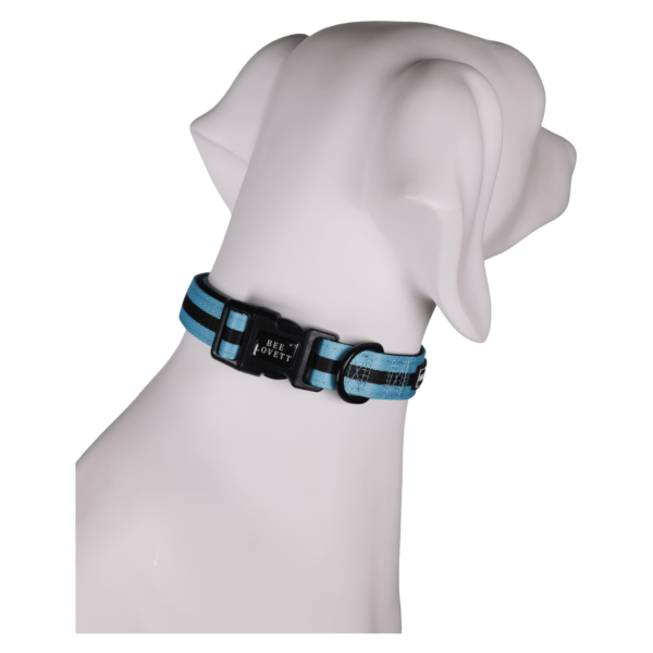 Dog Collars Aqua Stripes (4)