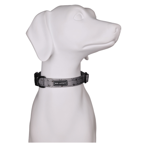 Dog Collars Beeyoutiful (3)