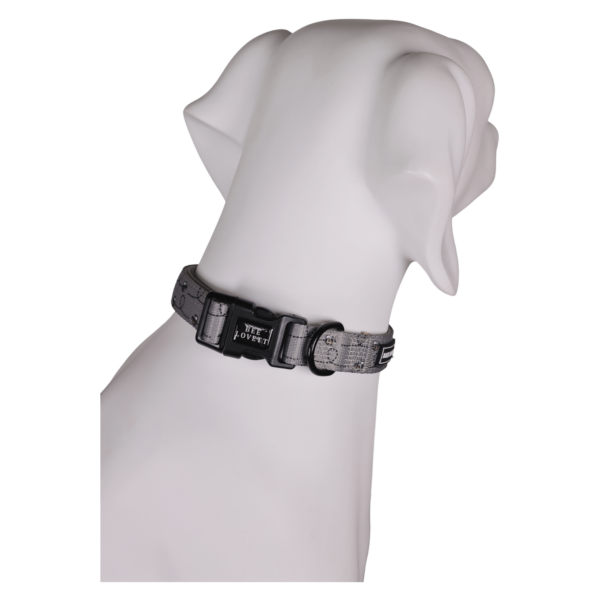 Dog Collars Beeyoutiful (4)