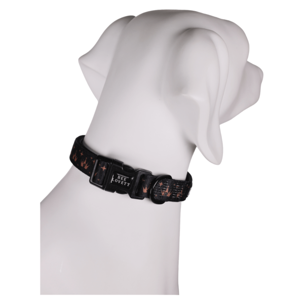 Dog Collars Crowns (4)