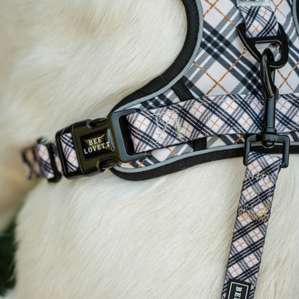 FABRIC LEASHES - PLAIDS Life Style (2)