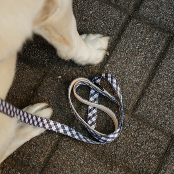 FABRIC LEASHES - PLAIDS Life Style (7)