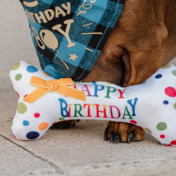 PLUSH TOYS FOR DOGS - BIRTHDAY COLLECTION - BIRTHDAY BONE LIFE STYLE (9)