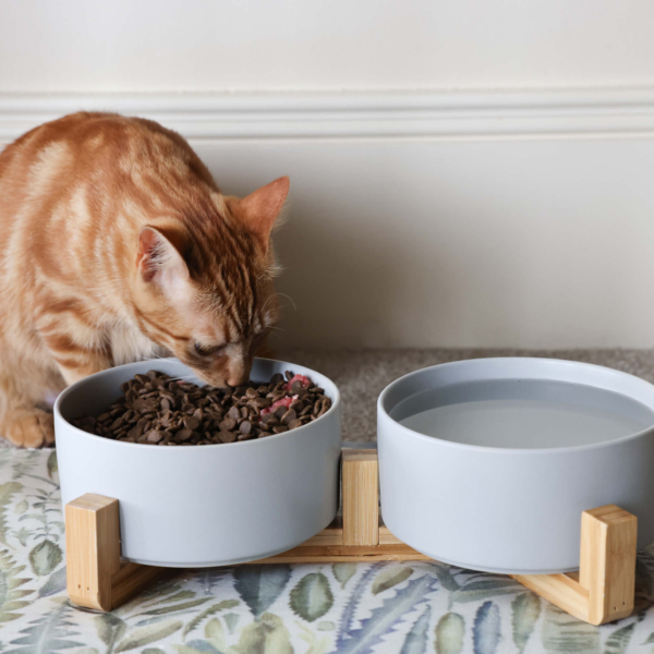 CAT CERAMIC PET BOWLS WITH BAMBOO STAND - GREY LIFE STYLE (2)