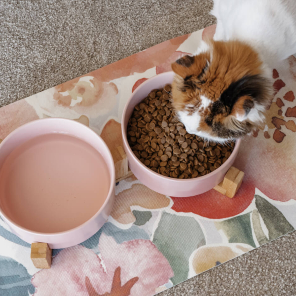 CAT CERAMIC PET BOWLS WITH BAMBOO STAND - PINK LIFE STYLE (1)