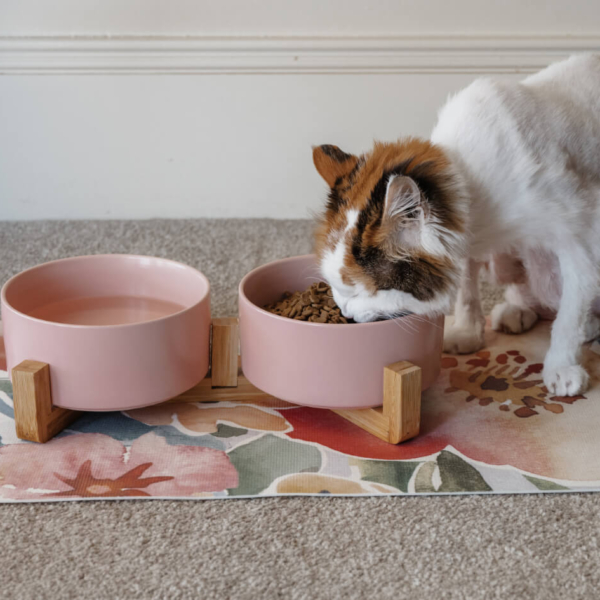 CAT CERAMIC PET BOWLS WITH BAMBOO STAND - PINK LIFE STYLE (2)