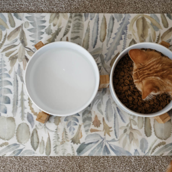CAT CERAMIC PET BOWLS WITH BAMBOO STAND - WHITE LIFE STYLE (1)