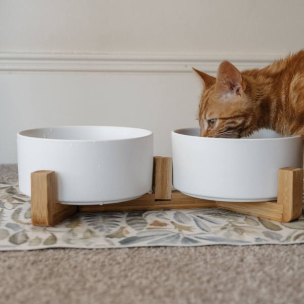 CAT CERAMIC PET BOWLS WITH BAMBOO STAND - WHITE LIFE STYLE (2)