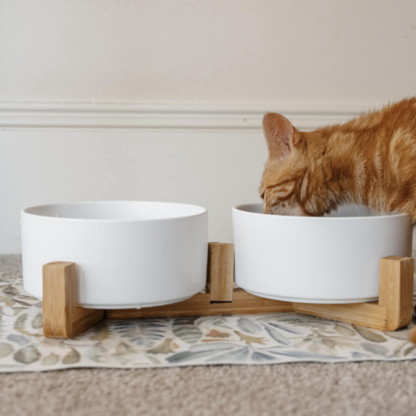 CAT CERAMIC PET BOWLS WITH BAMBOO STAND - WHITE LIFE STYLE (3)