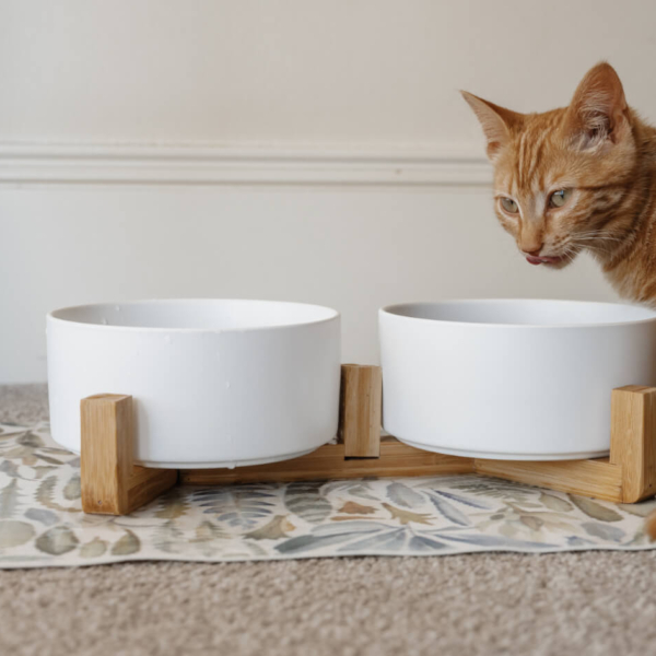 CAT CERAMIC PET BOWLS WITH BAMBOO STAND - WHITE LIFE STYLE (4)