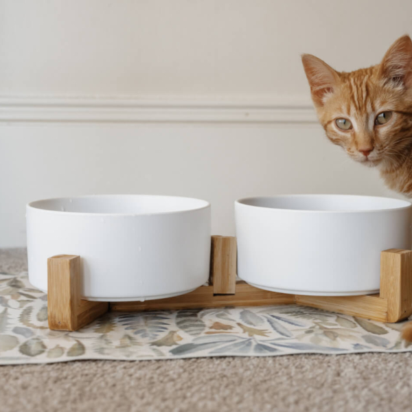 CAT CERAMIC PET BOWLS WITH BAMBOO STAND - WHITE LIFE STYLE (5)