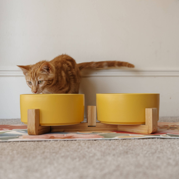 CAT CERAMIC PET BOWLS WITH BAMBOO STAND - YELLOW LIFE STYLE (1)