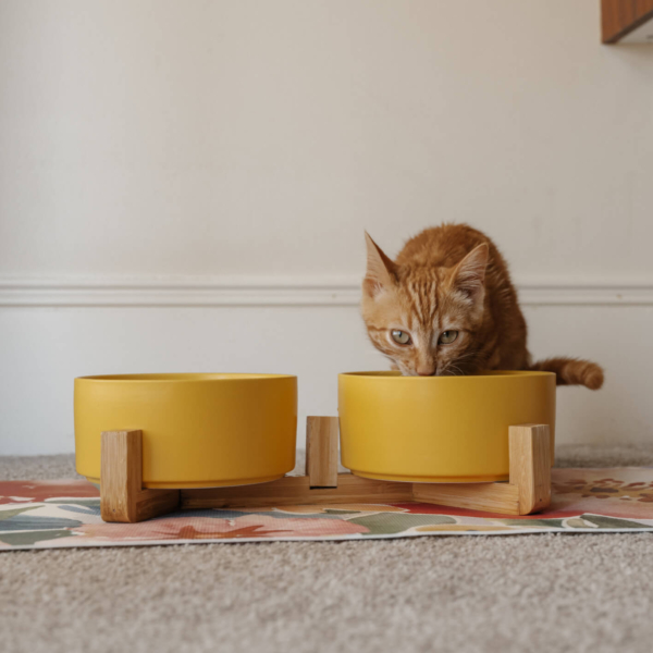 CAT CERAMIC PET BOWLS WITH BAMBOO STAND - YELLOW LIFE STYLE (2)