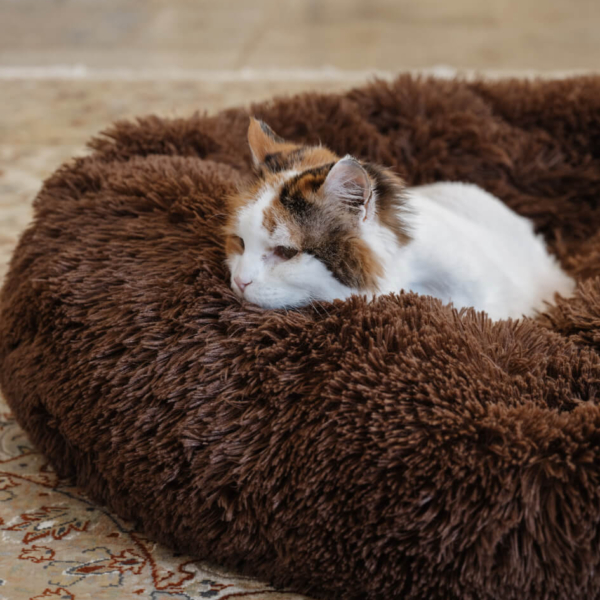 CAT PLUSH CALMING PET BED - CHOCOLATE LIFE STYLE (5)