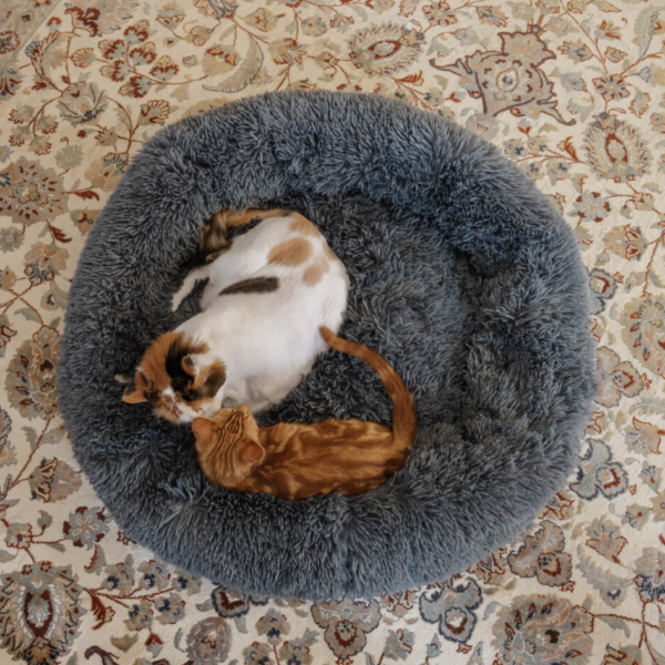 CAT PLUSH CALMING PET BED - DARK GREY LIFE STYLE (7)