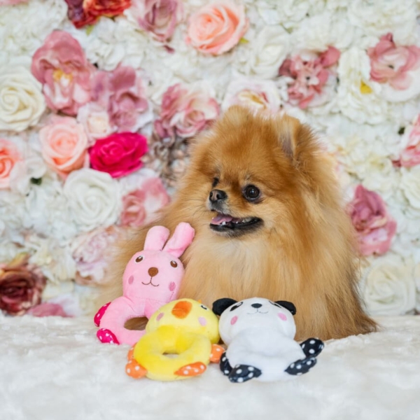 PLUSH TOYS FOR DOGS - LITTLE FRIENDS COLLECTION - BUNNY LIFE STYLE (1)