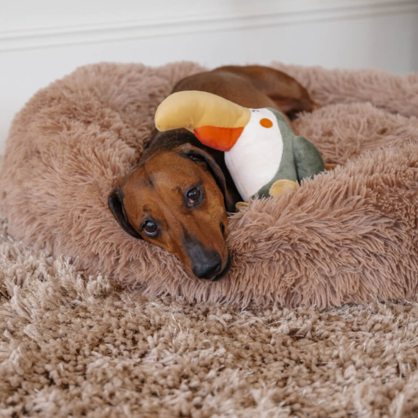 PLUSH TOYS FOR DOGS - ZOOFARI COLLECTION - BIRD LIFE STYLE (6)