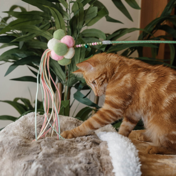 TOYS FOR CATS - INTERACTIVE TEASER STICK - GREEN LIFE STYLE (3)