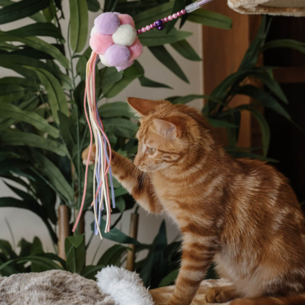 TOYS FOR CATS - INTERACTIVE TEASER STICK - PURPLE LIFE STYLE (4)