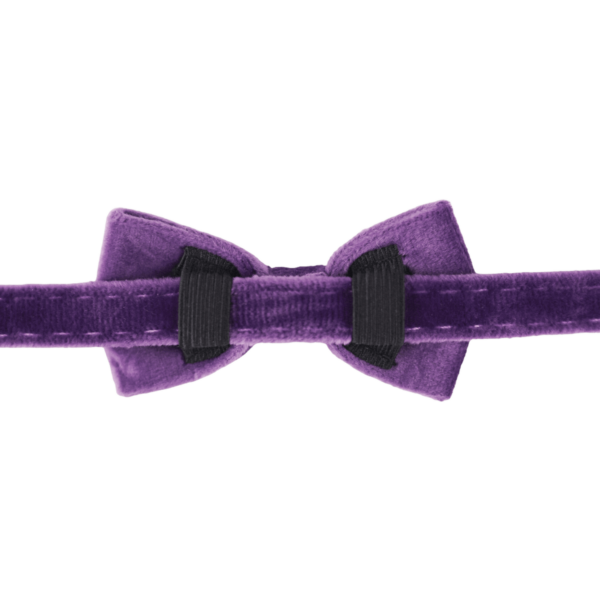 Velvet Cat Collars Purple (2)