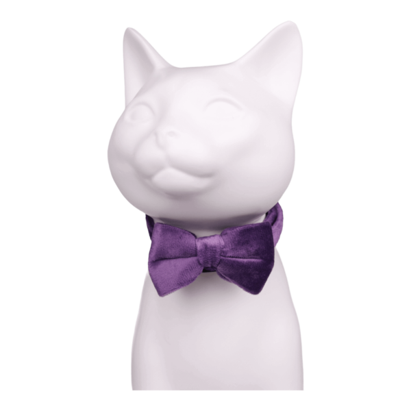 Velvet Cat Collars Purple (4)