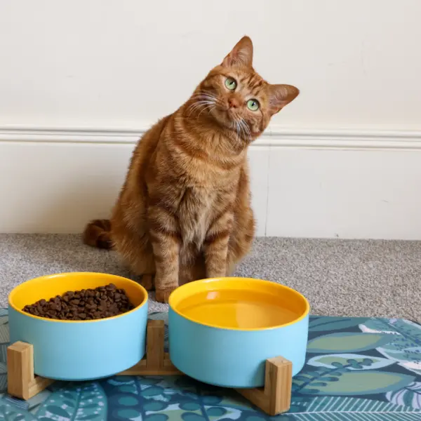 Cat Ceramic Pet Bowls With Bamboo Stand - Outer Blue Inner Yellow LS 1