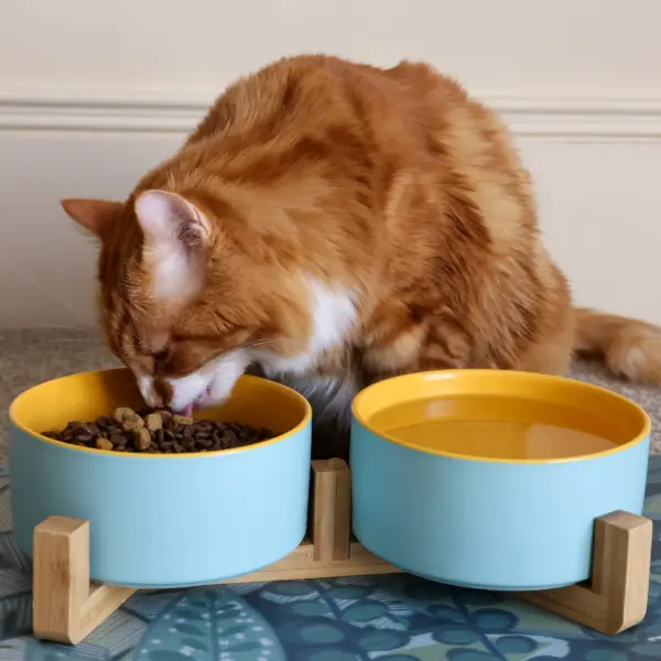 Cat Ceramic Pet Bowls With Bamboo Stand - Outer Blue Inner Yellow LS 2