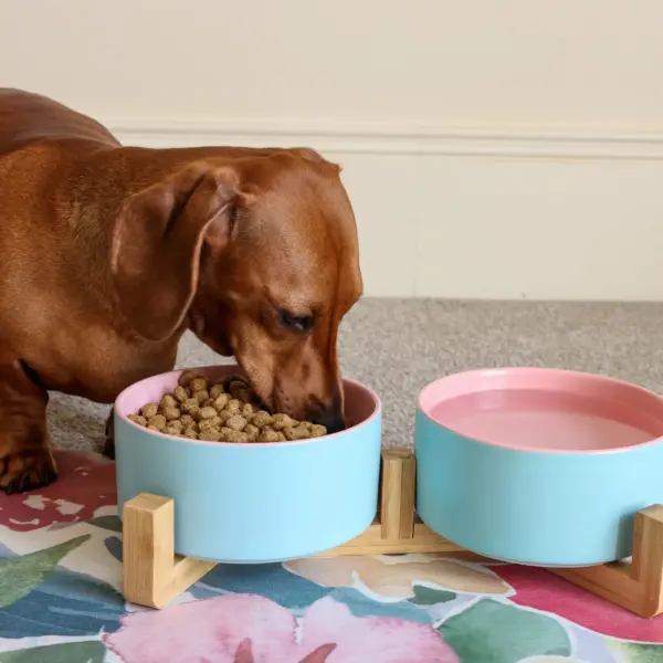 Dog Ceramic Pet Bowls With Bamboo Stand - Outer Blue Inner Pink LS 1