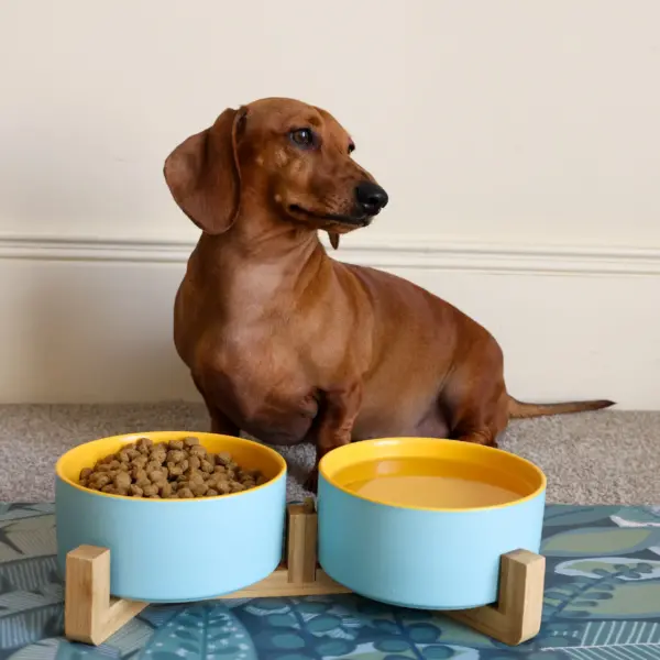 Dog Ceramic Pet Bowls With Bamboo Stand - Outer Blue Inner Yellow LS 1