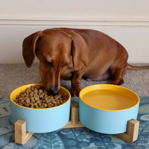 Dog Ceramic Pet Bowls With Bamboo Stand - Outer Blue Inner Yellow LS 2