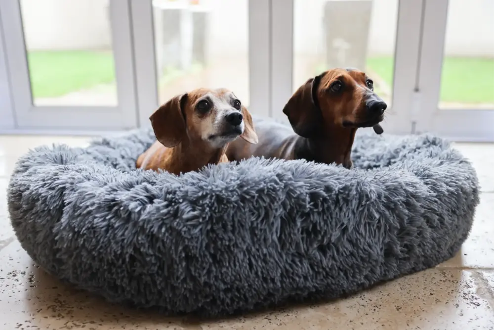 Dog Plush Calming Pet Bed - Dark Grey - Image 3