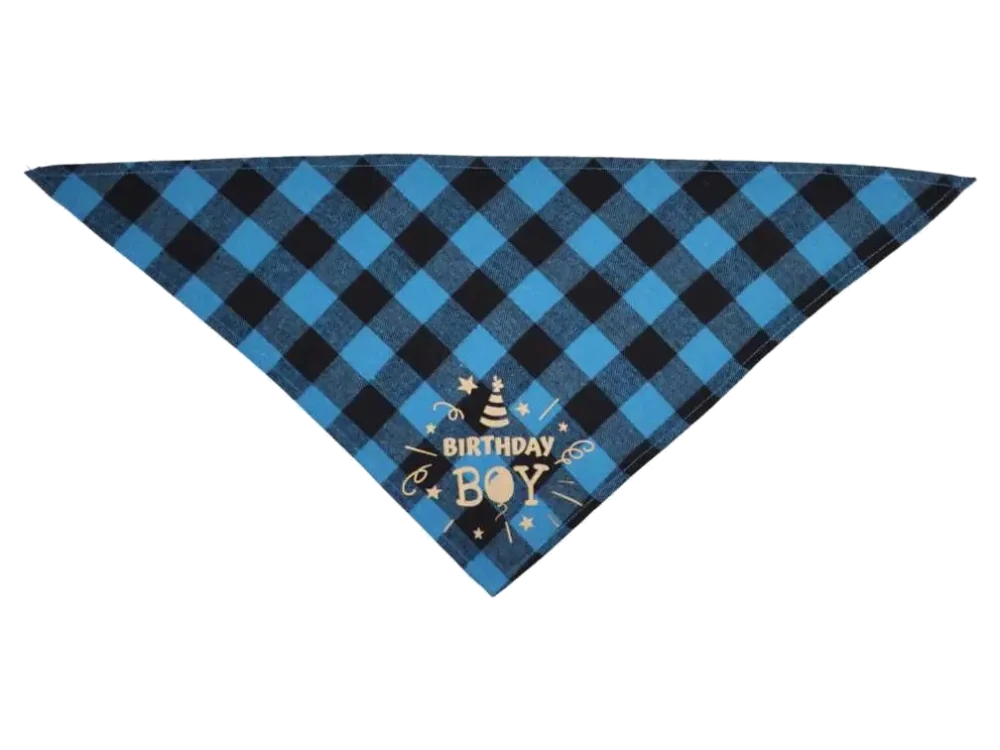 Cat Bandana - Happy Birthday Turquoise - Image 2