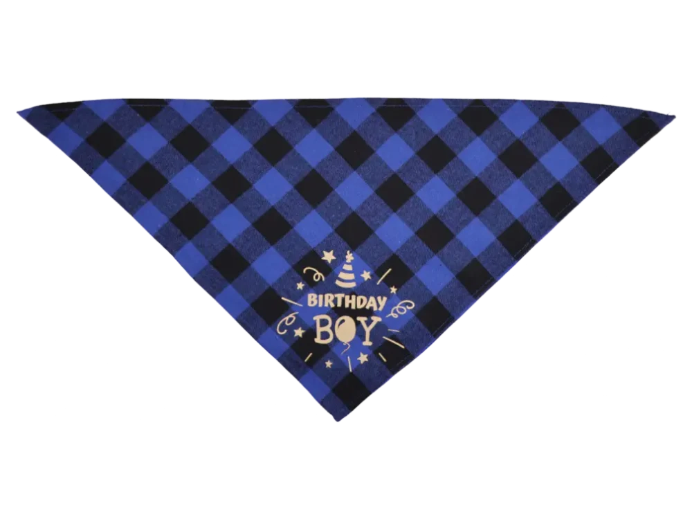 Cat Bandana - Happy Birthday Blue - Image 2