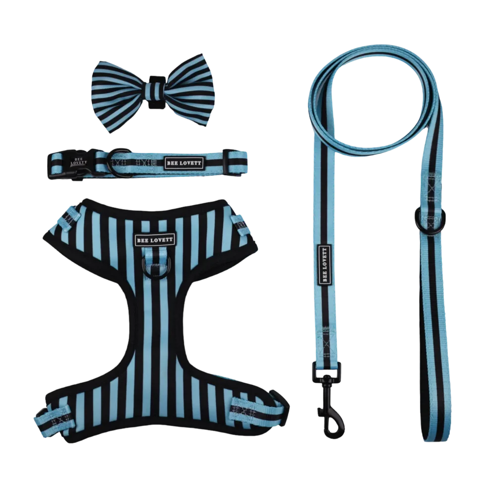 Adjustable Harness - Aqua Stripes - Image 3