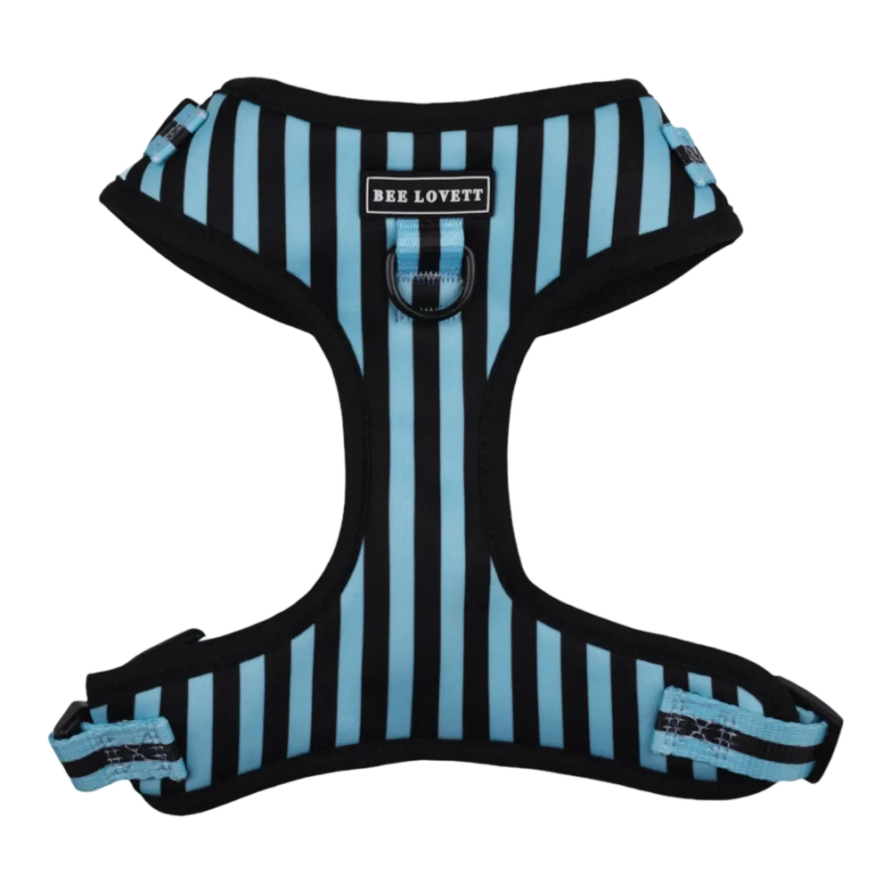 Adjustable Harness - Aqua Stripes