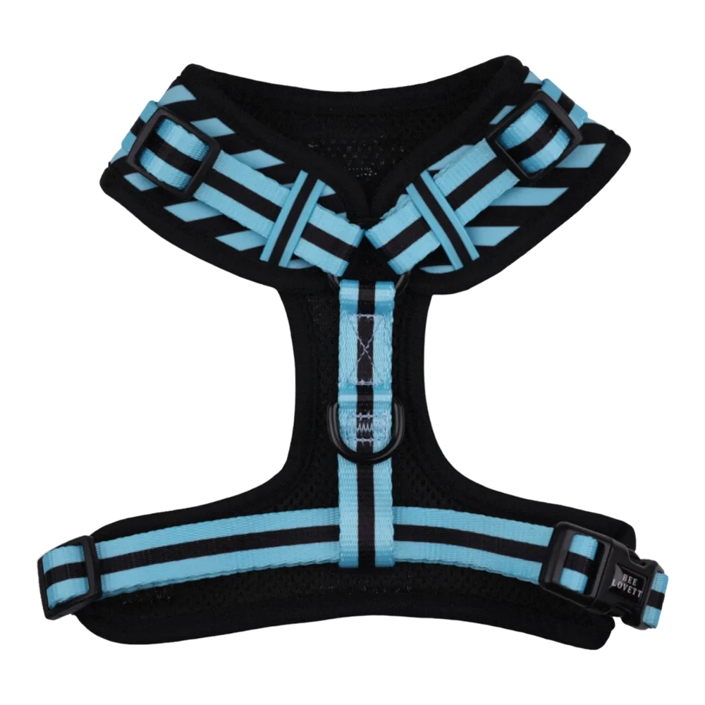 Adjustable Harness - Aqua Stripes - Image 2